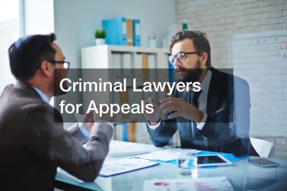 Criminal Lawyers for Appeals