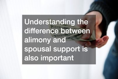 Child Custody, Annulment, and Alimony: 3 Questions to Ask Divorce Lawyers